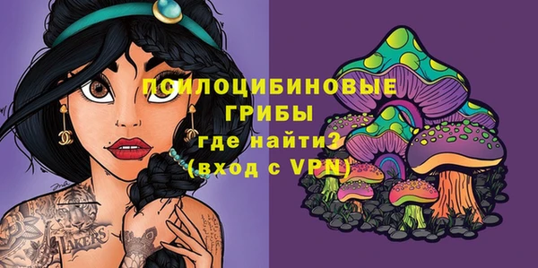 мдма Корсаков