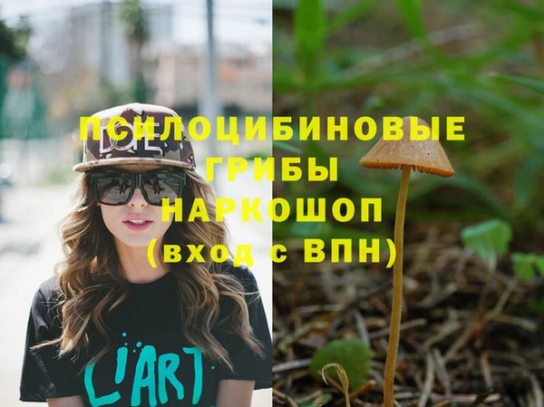 таблы Коряжма