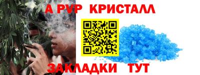 прущие грибы Апшеронск