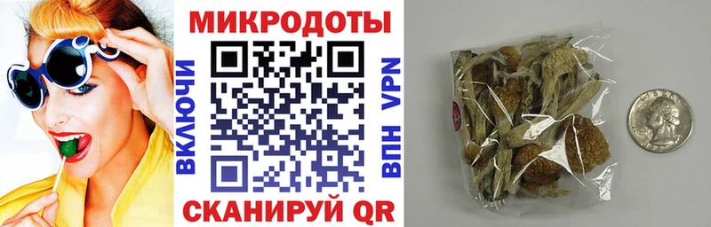 Галлюциногенные грибы мицелий  Малгобек 