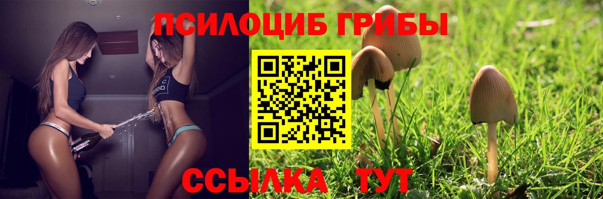 Псилоцибиновые грибы Psilocybine cubensis Малгобек