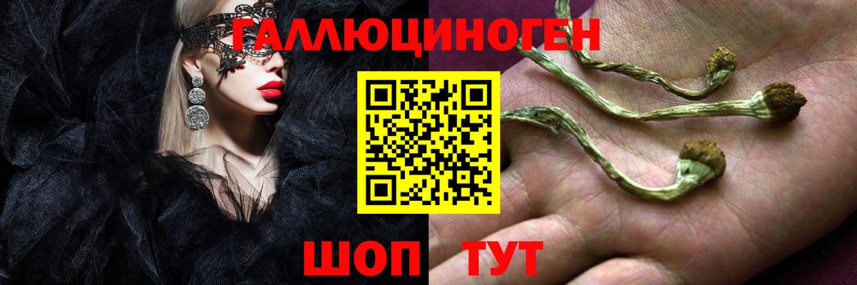 Псилоцибиновые грибы прущие грибы  Вход с VPN  Малгобек 